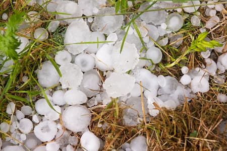 Hail & Wind Damage Thumbnail