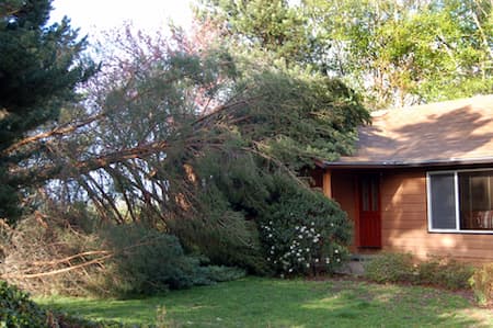 Storm Damage Thumbnail